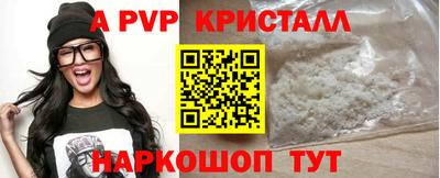 стаф Кинель