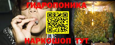 стаф Кинель