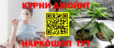 стаф Кинель