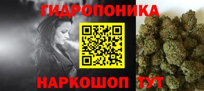 стаф Кинель
