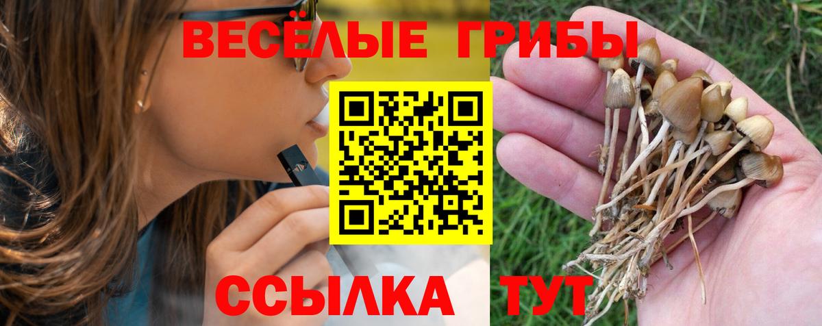 Кропоткин  Галлюциногенные грибы Psilocybe  Вход с VPN 